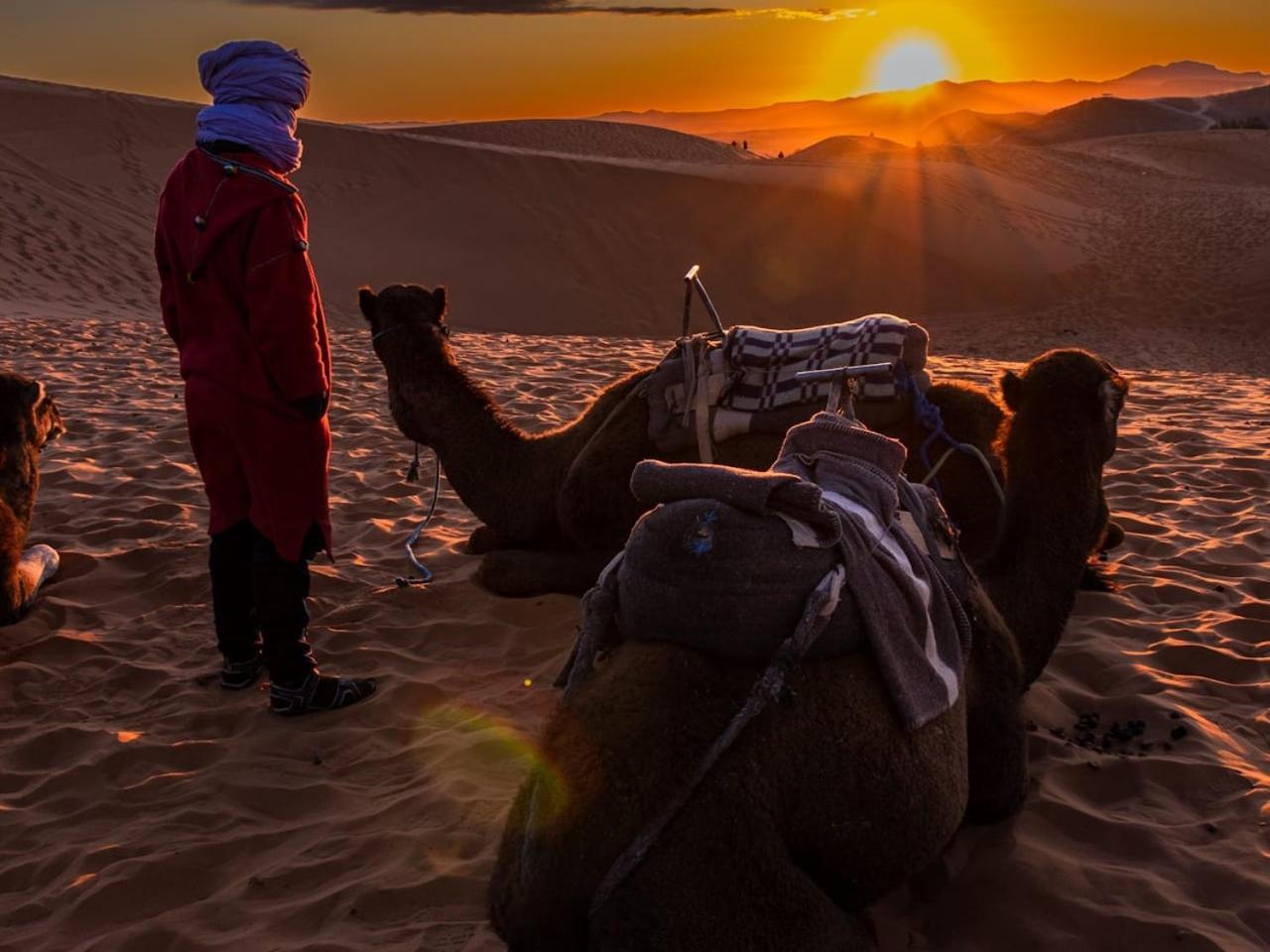 Camp Under Stars (Adults Only) Merzouga Eksteriør bilde