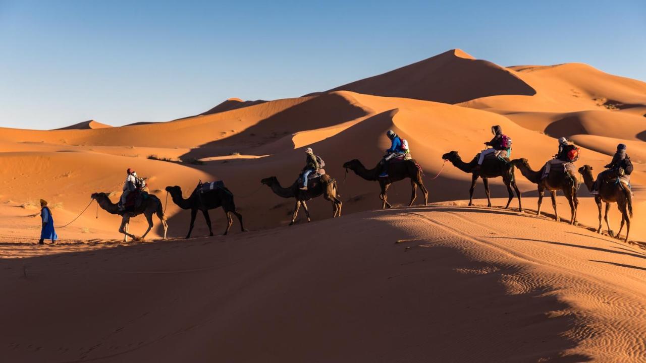 Camp Under Stars (Adults Only) Merzouga Eksteriør bilde